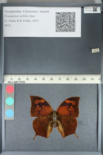 Media type: image;   Entomology 164394